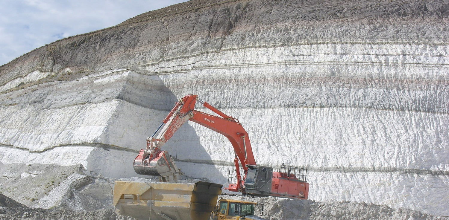 Diatomaceous earth clay - A photo of a powdery white substance that is made from the fossilized remains of diatoms, a type of microscopic algae. This natural and versatile clay is commonly used for a variety of applications, including as a mild abrasive in toothpaste, as a natural insecticide, and as a filtering agent in swimming pools. In skincare products, diatomaceous earth clay can help to gently exfoliate the skin, remove impurities, and improve the skin's texture.